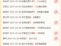 九游娱乐-关于帕尔梅拉斯防守体系升级，迎接关键战的信息