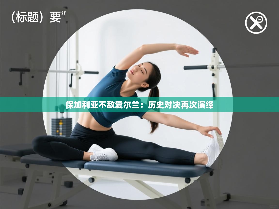 保加利亚不敌爱尔兰：历史对决再次演绎  第2张